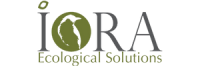 iora-logo 1